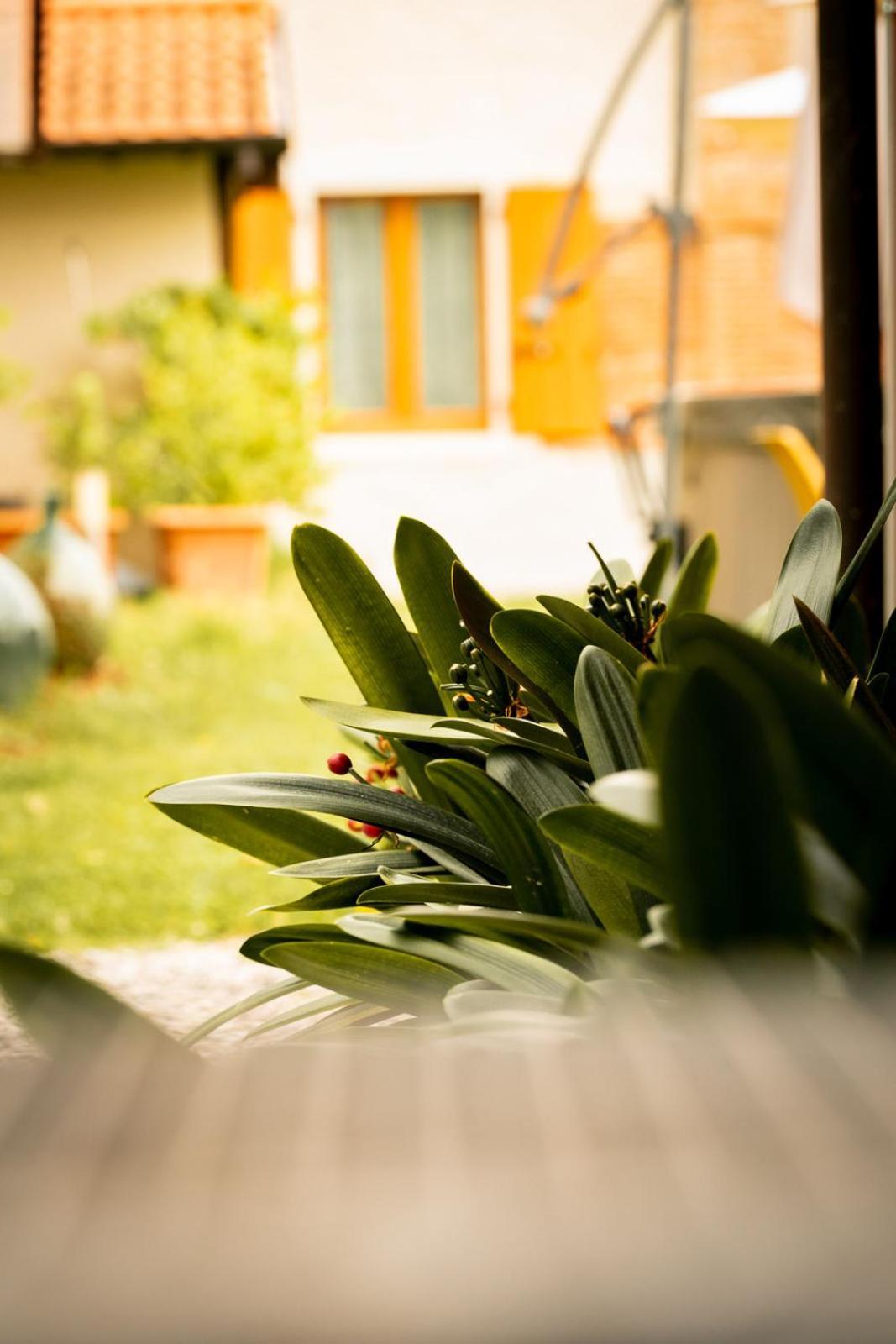 Agriturismo Podere Nigriano Salo Bagian luar foto