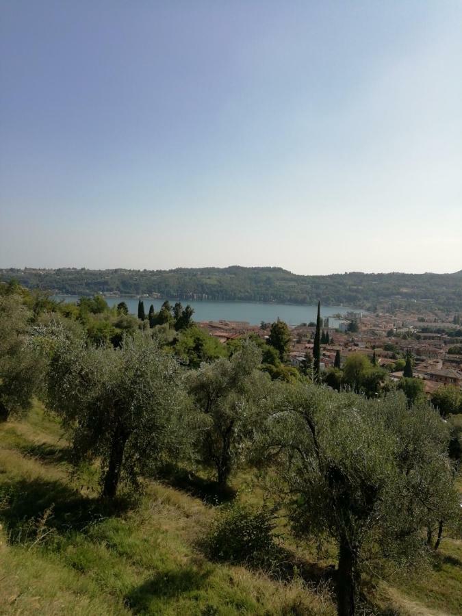 Agriturismo Podere Nigriano Salo Bagian luar foto